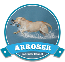 Arroser Labrador Breeders