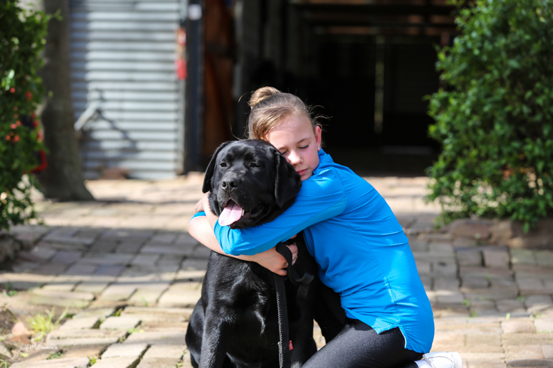 Labrador Kennel